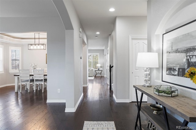 hall with dark wood-style floors, baseboards, and a wealth of natural light