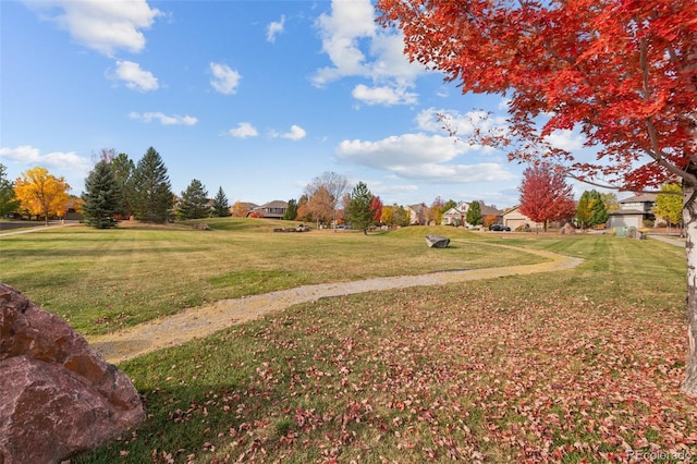 view of yard