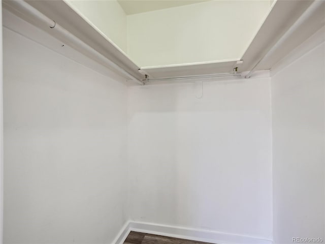 500 E 11th Ave Unit 203, Denver, CO 80203 - walk in closet with dark wood-style floors