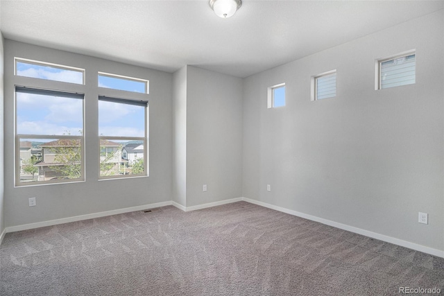 3116 Jonquil St, Castle Rock, CO 80109 - photo 6