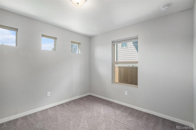 3116 Jonquil St, Castle Rock, CO 80109 - photo 12