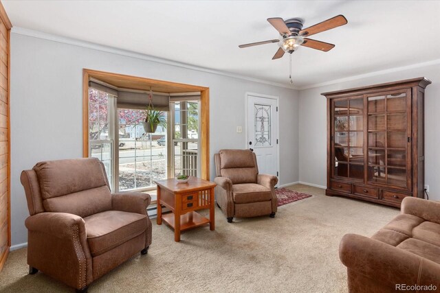 500 Maxwell St, Salida, CO 81201 - photo 8