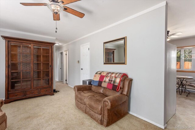 500 Maxwell St, Salida, CO 81201 - photo 10