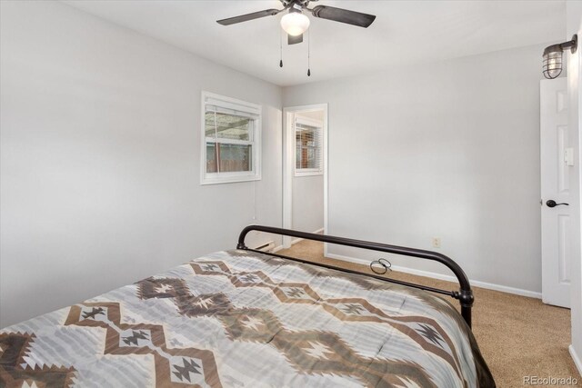 500 Maxwell St, Salida, CO 81201 - photo 26