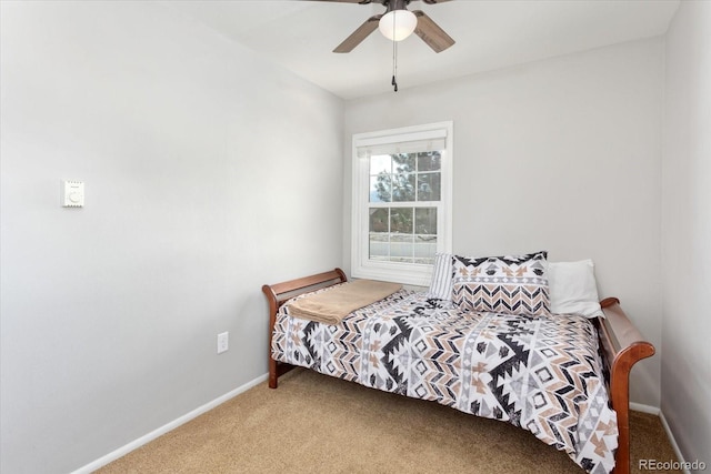 500 Maxwell St, Salida, CO 81201 - photo 30