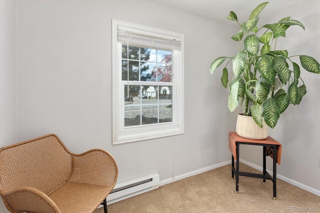 500 Maxwell St, Salida, CO 81201 - photo 34