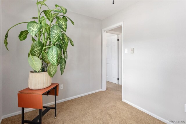 500 Maxwell St, Salida, CO 81201 - photo 35