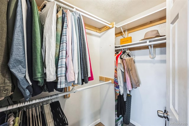 view of walk in closet