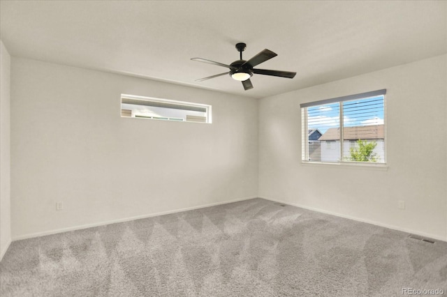 1644 Thrive Dr, Windsor, CO 80550 - photo 20