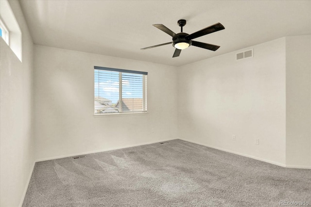 1644 Thrive Dr, Windsor, CO 80550 - photo 21