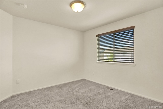1644 Thrive Dr, Windsor, CO 80550 - photo 24