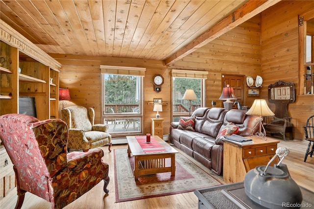 7033 Silverhorn Dr, Evergreen, CO 80439 - photo 4