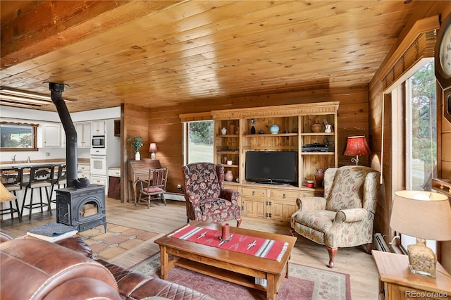 7033 Silverhorn Dr, Evergreen, CO 80439 - photo 6