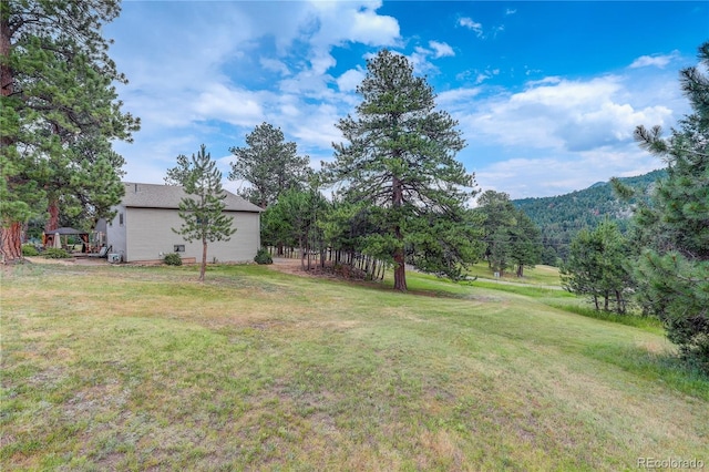 7033 Silverhorn Dr, Evergreen, CO 80439 - photo 10