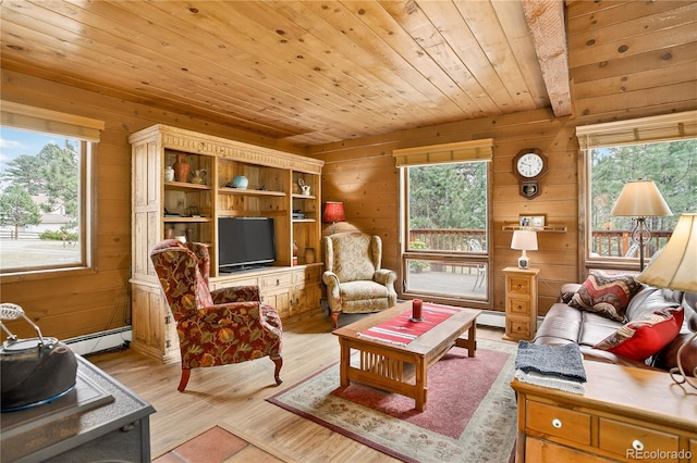 7033 Silverhorn Dr, Evergreen, CO 80439 - photo 11
