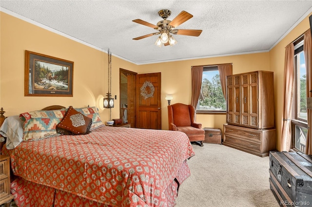 7033 Silverhorn Dr, Evergreen, CO 80439 - photo 13