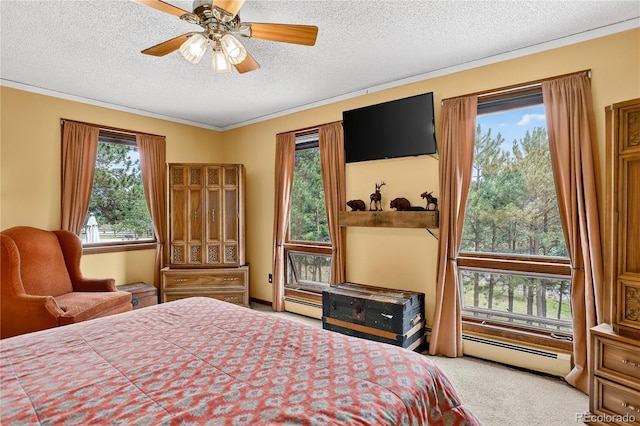 7033 Silverhorn Dr, Evergreen, CO 80439 - photo 14