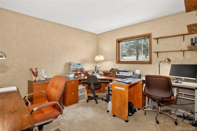 7033 Silverhorn Dr, Evergreen, CO 80439 - photo 21