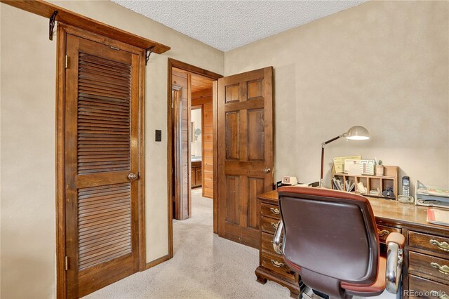 7033 Silverhorn Dr, Evergreen, CO 80439 - photo 22