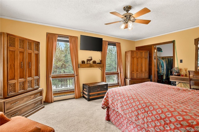 7033 Silverhorn Dr, Evergreen, CO 80439 - photo 25