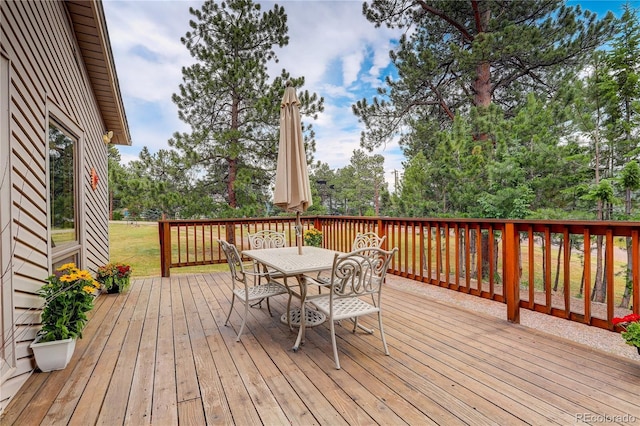 7033 Silverhorn Dr, Evergreen, CO 80439 - photo 28
