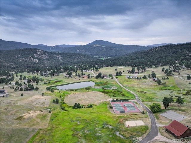 7033 Silverhorn Dr, Evergreen, CO 80439 - photo 34
