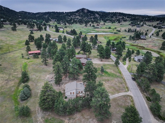 7033 Silverhorn Dr, Evergreen, CO 80439 - photo 43