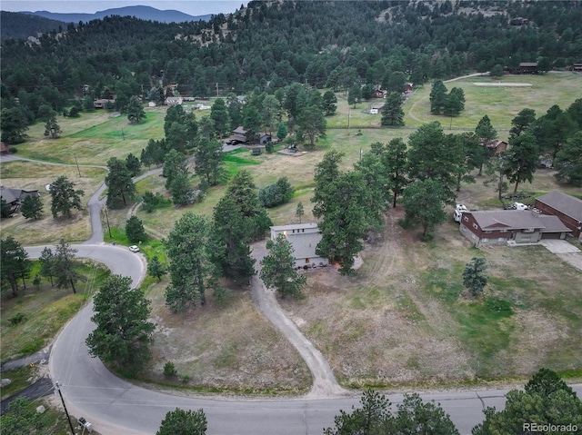 7033 Silverhorn Dr, Evergreen, CO 80439 - photo 44