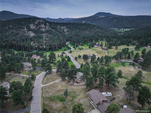 7033 Silverhorn Dr, Evergreen, CO 80439 - photo 45