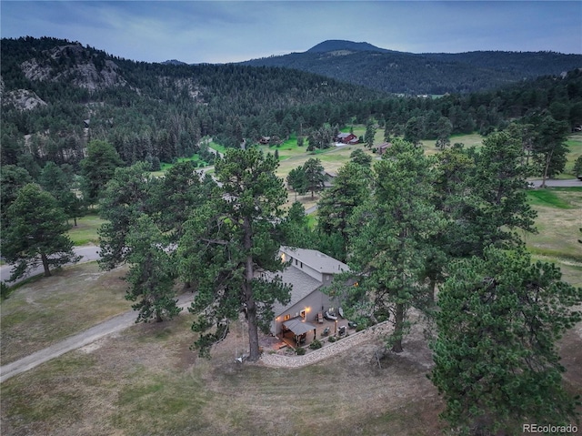 7033 Silverhorn Dr, Evergreen, CO 80439 - photo 46