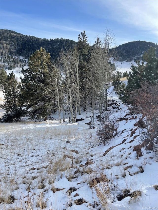 902 Copper Mountain Dr, Cripple Creek CO, 80813 land for sale