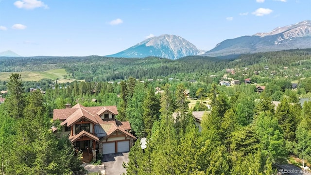 1730 Red Hawk Rd, Silverthorne, CO 80498 - photo 1