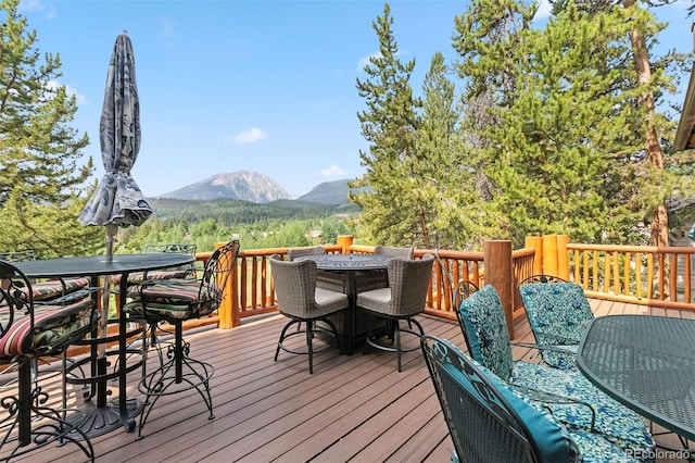 1730 Red Hawk Rd, Silverthorne, CO 80498 - photo 15