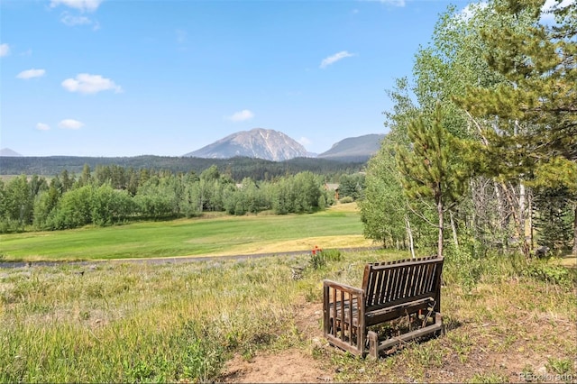 1730 Red Hawk Rd, Silverthorne, CO 80498 - photo 16