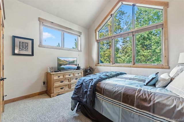 1730 Red Hawk Rd, Silverthorne, CO 80498 - photo 24