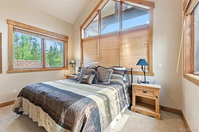 1730 Red Hawk Rd, Silverthorne, CO 80498 - photo 29