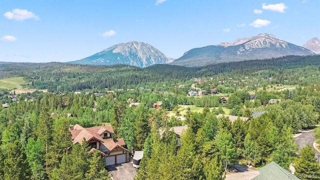 1730 Red Hawk Rd, Silverthorne, CO 80498 - photo 38