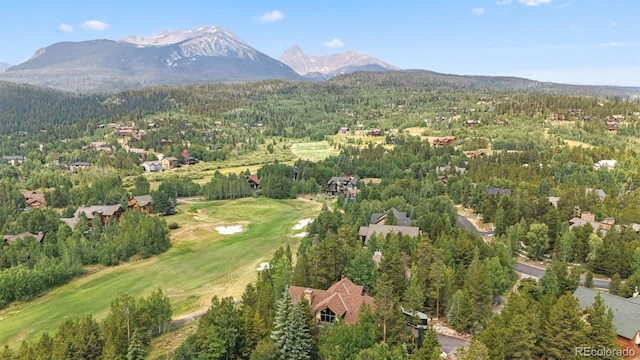 1730 Red Hawk Rd, Silverthorne, CO 80498 - photo 39