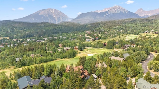 1730 Red Hawk Rd, Silverthorne, CO 80498 - photo 46