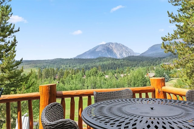 1730 Red Hawk Rd, Silverthorne, CO 80498 - photo 47