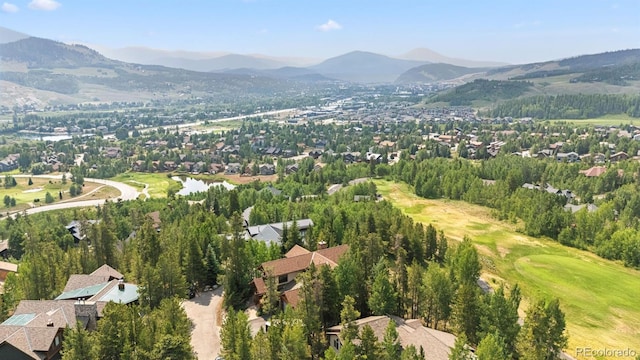 1730 Red Hawk Rd, Silverthorne, CO 80498 - photo 50