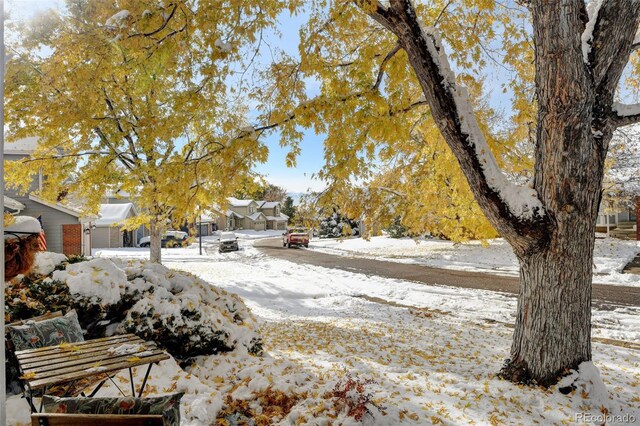 view of snowy yard