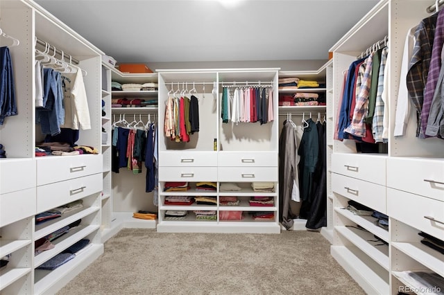 walk in closet featuring light colored carpet