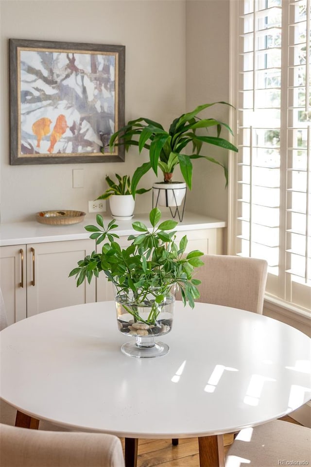 view of dining space