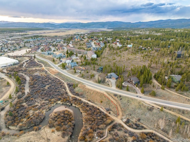 427 County Road 804, Fraser, CO 80442
