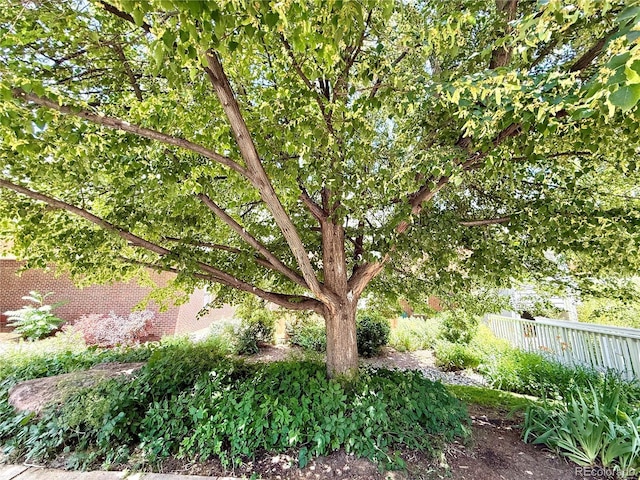 1111 Maxwell Ave Unit 228, Boulder, CO 80304 - photo 3
