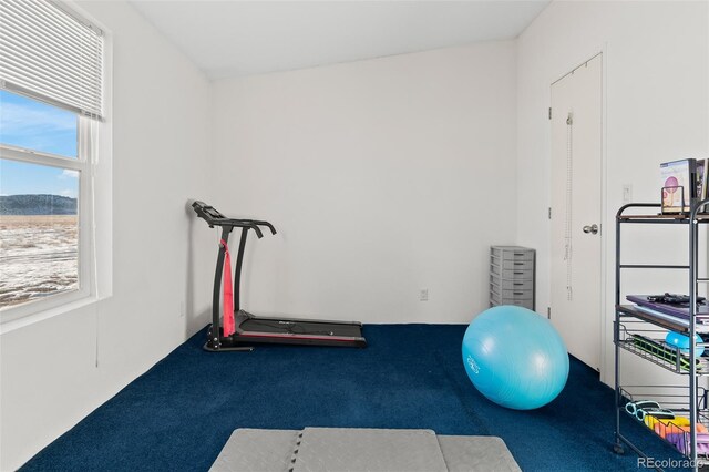 exercise room featuring carpet flooring