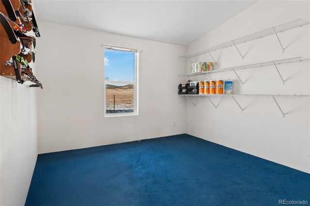 empty room with carpet and plenty of natural light