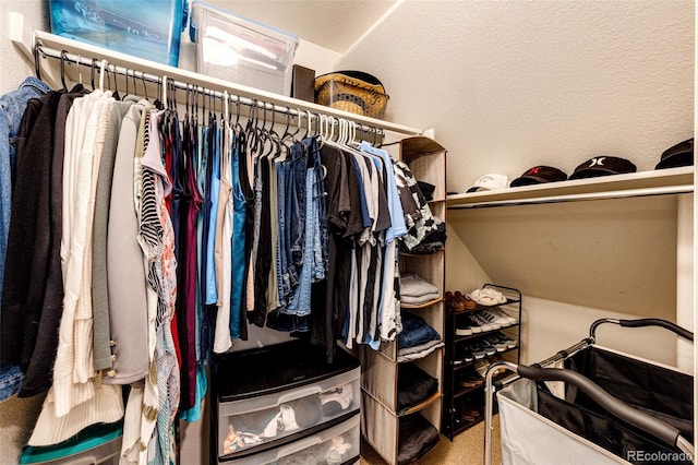 452 Black Feather Loop Unit 608, Castle Rock, CO 80104 - view of spacious closet