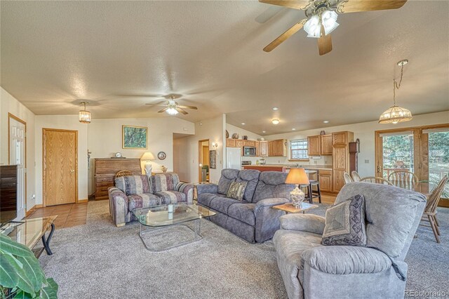 1 Silver Spruce Dr, Salida, CO 81201 - photo 5